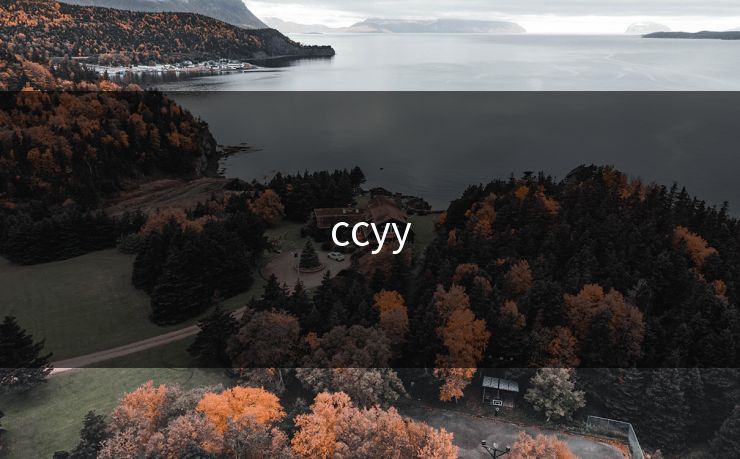 ccyy