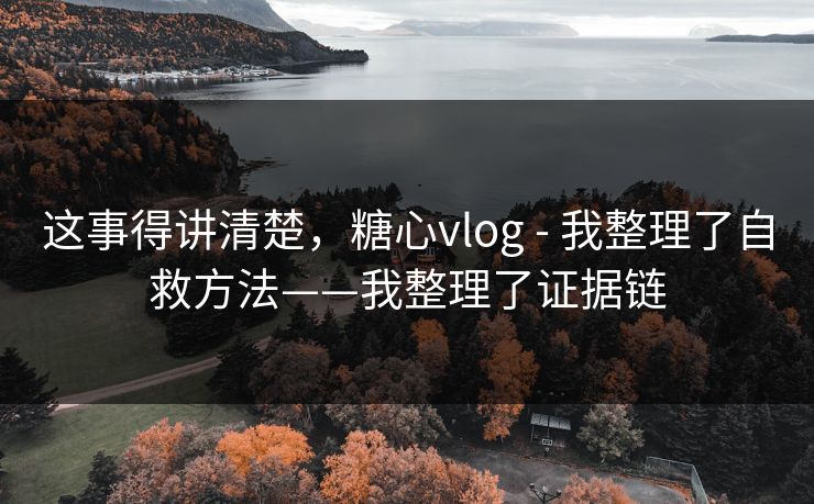 这事得讲清楚,糖心vlog - 我整理了自救方法——我整理了证据链 这事得讲清楚,糖心vlog - 我整理了自救方法——我整理了证据链