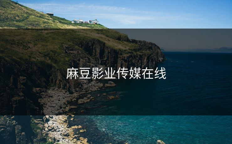 麻豆影业传媒在线